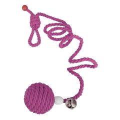 Kapıya Asılabilen Kedi Oyun Aktivite Topu İpli 5x80 cm Pembe