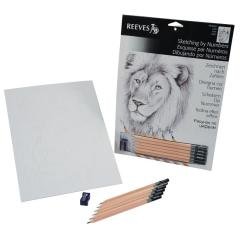 Numaraya Göre Eskiz - 22x30cm - Aslan