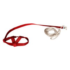 Markapet Gezdirme Kayışlı Kuş Göğüs Tasma Seti 90 cm Kırmızı