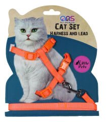 Kedi Göğüs Bel Tasması Dokuma Turuncu