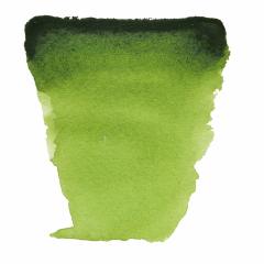 Sulu Boya Tablet Sap Green 623