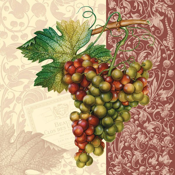Peçete 20'li - 33x33cm - N:SLOG004902