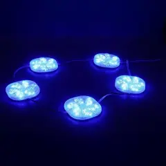 Powermaster 12 Volt 3 Watt Mavi Yanıp Sönen 6565-2835 Modül Led