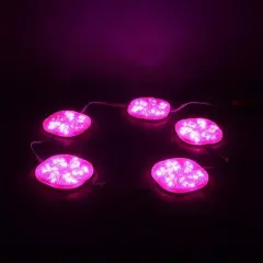 Powermaster 12 Volt 3 Watt Pembe Yanıp Sönen 6565-2835 Modül Led
