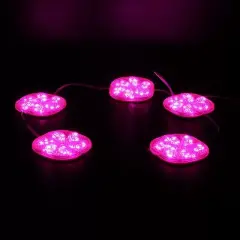 Powermaster 12 Volt 3 Watt Pembe Sabit 6565-2835 Modül Led