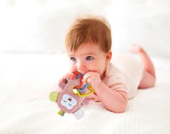 Babyjem Küçük Oyuncaklı Maymun - Gül Kurusu