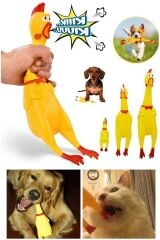 Ses Çıkaran Tavuk Kedi Köpek Oyuncağı 38 Cm.