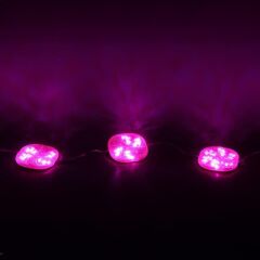 Powermaster 12 Volt 3 Watt Pembe Yanıp Sönen 6565-2835 Modül Led