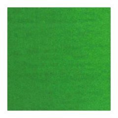 Yağlı Boya 40ml - Permanent Green Medium 614