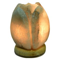 Kabartma Lale Desenli Doğal Kaya Tuzu Lambası Kablolu Ampullü Beyaz 2-4 Kg