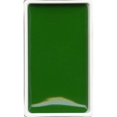 Gansai Tambi Tablet Suluboya - Hookers Green - N:52