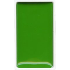 Gansai Tambi Tablet Suluboya - Sap Green Light - N:51