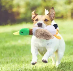 Sesli Ördek Şekilli Peluş Köpek Oyuncağı