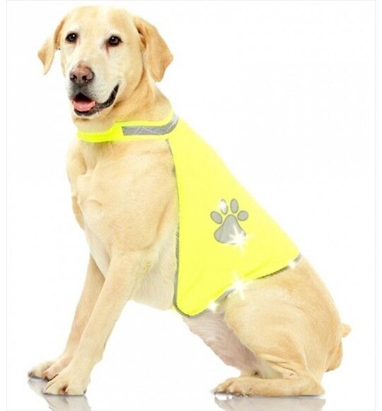 Pawise Fosforlu Köpek Yeleği Small 30*46 cm