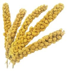 Fizzy Doğal Sarı Dal Darı 5 li