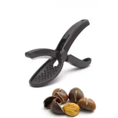 Plastik Kestane Çizeceği