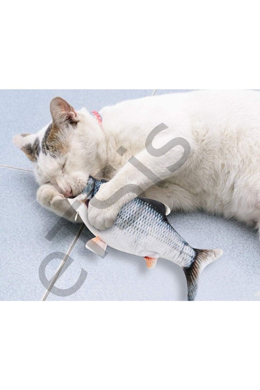 Dans Eden Balık Şarj Edilebilir Kedi Oyuncağı Gerçekçi