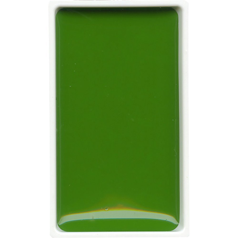 Gansai Tambi Tablet Suluboya - Sap Green - N:53
