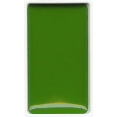 Gansai Tambi Tablet Suluboya - Sap Green - N:53