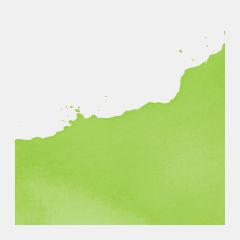 Ecoline Sıvı Suluboya  - 665 Spring Green
