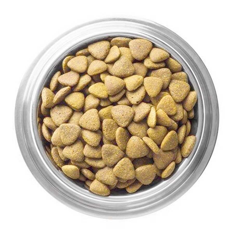 Animal World Kuzu Etli ve Pirinçli Yavru Köpek Maması 1kg Açık mama