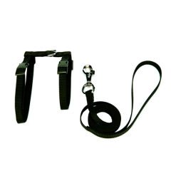 Kedi Göğüs Bel Tasması Dokuma 22/36 cm Siyah