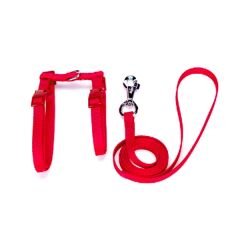 Kedi Göğüs Bel Tasması Dokuma 22/36 cm Kırmızı