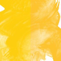 Sulu Boya Tablet 2'li Cadmium Yellow Deep Hue/Gamboge Hue