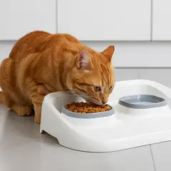 Mikopet Gri 2'si 1 Arada Mama Ve Su Kabı