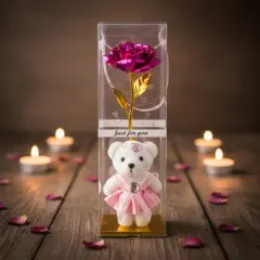 Şeffaf Kutulu Ayıcıklı Sonsuzluk Gülü