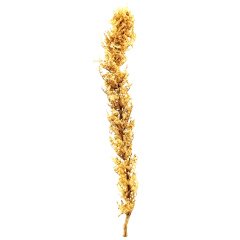 Maket Naturel Ağaç - 16cm - Söğüt Ağacı
