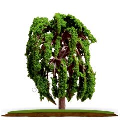 Maket Ağaç 1/200 4 cm TA228-01 Söğüt Ağacı