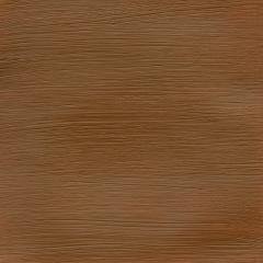 Profesyonel Akrilik Boya 60ml Seri 1 N:552 Raw Sienna