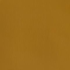 Profesyonel Akrilik Boya 60ml Seri 1 N:737 Yellow Iron Oxide