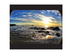 Balık Gözü Cep Telefonu Lensi (tüm Modellere Uyumlu)