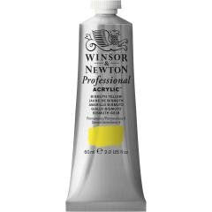 Profesyonel Akrilik Boya 60ml Seri 4 N:025 Bismuth Yellow