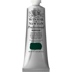 Profesyonel Akrilik Boya 60ml Seri 4 N:460 Perylene Green