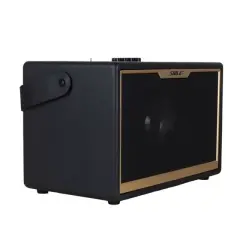 Shile Sd-1 El Mikrofonlu Kumandalı Usb/sd/bt Portatif Hoparlör