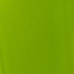 Basics Akrilik 118ml - Lime Green N:222