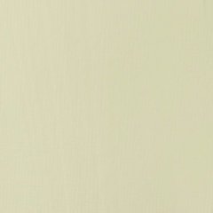 Basics Akrilik 118ml - Parchment N:436