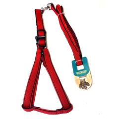 Ans Köpek Gezdirme Kayısı + Göğüs Tasması 30-50 cm - 120 cm