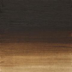 Artists Yağlı Boya - Raw Umber - 37ml - Seri 1