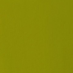 Basics Akrilik 118ml - Light Olive Green N:218