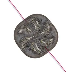 Powermaster 12 Volt 3 Watt Soğuk Beyaz Yanıp Sönen 6565-2835 Modül Led