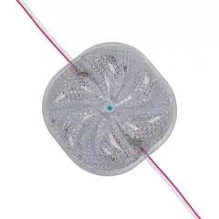 Powermaster 12 Volt 3 Watt Rgb Yanıp Sönen 6565-2835 Modül Led