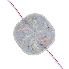 Powermaster 12 Volt 3 Watt Karışık (r+g+b) Yanıp Sönen 6565-2835 Modül Led