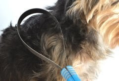 Eastland Ayarlanabilir Tüy Kesme Aleti