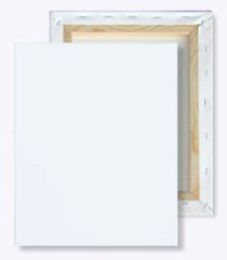 Profesyonel Tuval - 50x65cm