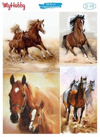 Sulu Transfer 25x35cm ST-179