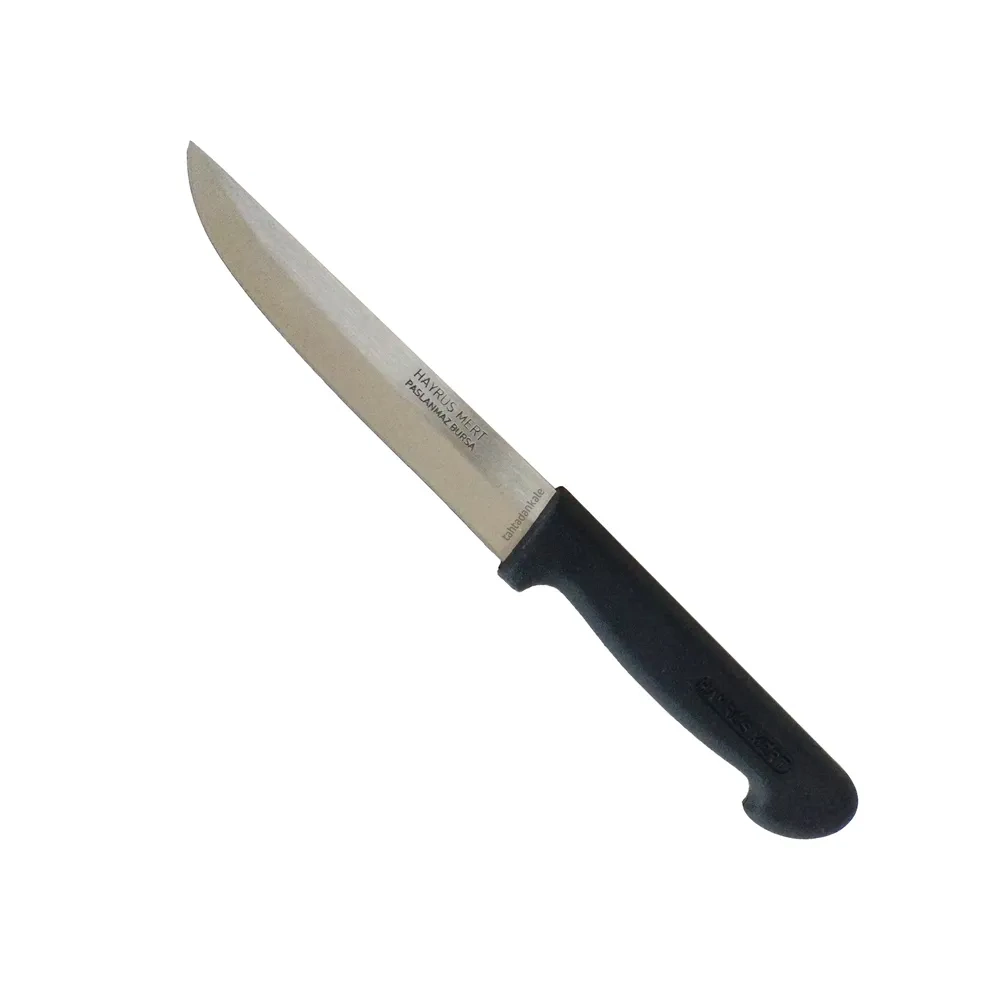 Hayruş Mert Paslanmaz Bursa Mutfak, Ekmek Bıçağı 15,5 Cm, Plastik Sap